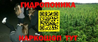 крисы Будённовск