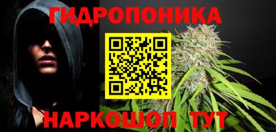 крисы Будённовск