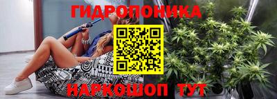 крисы Будённовск