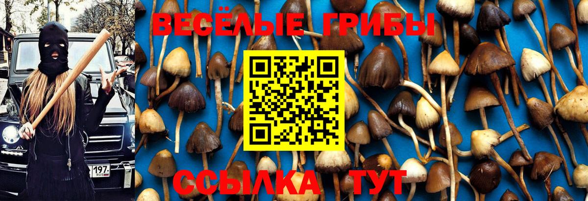 Шатура  наркошоп  Вход с VPN  Галлюциногенные грибы мицелий 